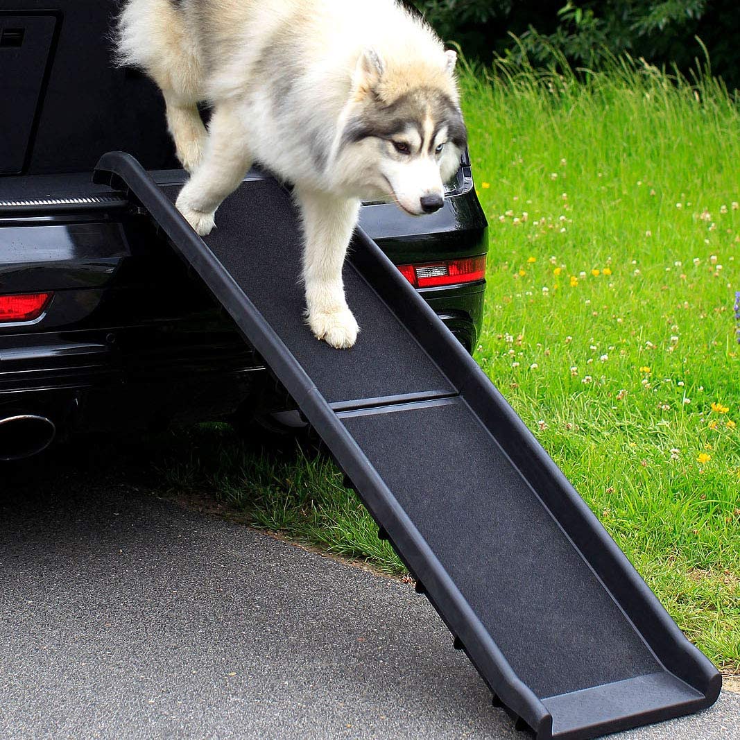 Hunderampe Hundetreppe Hundeautorampe Kofferraumrampe, Poolausstieg fü| B&B  Shop
