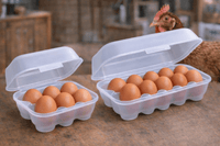 Mehrweg - Eierbox 10er – nachhaltig, robust & transparent, 11,5 x 26,5 cm, BPA - frei - B&B Shop - 2000 Stockerau