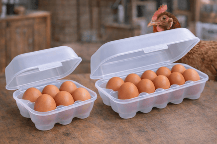 Mehrweg - Eierbox 6er – nachhaltig, robust & transparent, 11,5 x 16,4 cm, BPA - frei - B&B Shop - 2000 Stockerau