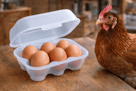 Mehrweg - Eierbox 6er – nachhaltig, robust & transparent, 11,5 x 16,4 cm, BPA - frei - B&B Shop - 2000 Stockerau