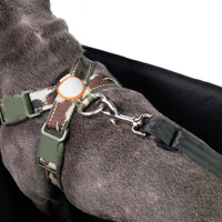 Personalisierter Hundeautositz mit Wunschnamen bestickt, Wasserdicht, rutschfest & Kratzfest für Kleine bis Mittelgroße Hunde - B&B Shop - 2000 Stockerau