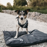 District70 Hundematte Lodge Dunkelgrau Xl-B&B Shop - 2000 Stockerau
