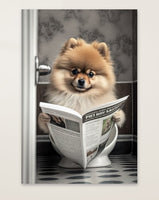 Pomeranian sitzt auf der Toilette und liest eine Zeitung, Poster für Bad oder Toilette, (inkl. Versand)-B&B Shop - 2000 Stockerau