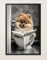 Pomeranian sitzt auf der Toilette und liest eine Zeitung, Poster für Bad oder Toilette, (inkl. Versand)-B&B Shop - 2000 Stockerau