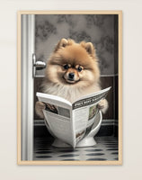 Pomeranian sitzt auf der Toilette und liest eine Zeitung, Poster für Bad oder Toilette, (inkl. Versand)-B&B Shop - 2000 Stockerau