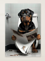 Rottweiler sitzt auf der Toilette und liest eine Zeitung, Poster für Bad oder Toilette, (inkl. Versand)-B&B Shop - 2000 Stockerau
