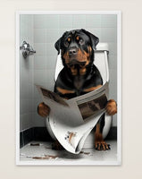 Rottweiler sitzt auf der Toilette und liest eine Zeitung, Poster für Bad oder Toilette, (inkl. Versand)-B&B Shop - 2000 Stockerau